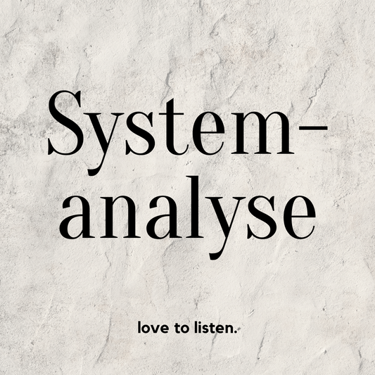Professionelle Systemanalyse