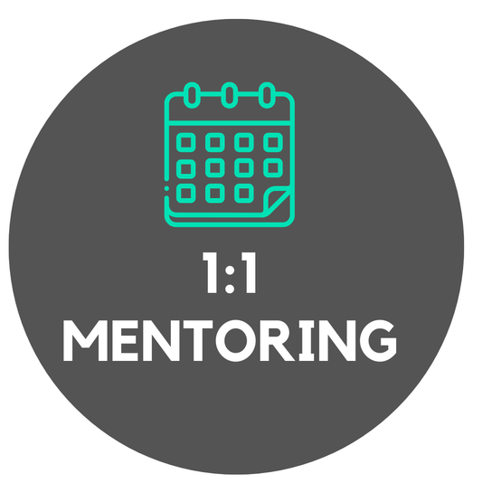 1:1 Mentoring